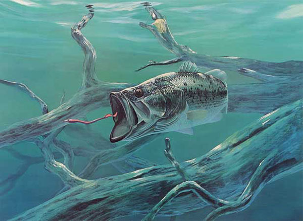 Jahrriesnge Animals of fish-lpf02522 