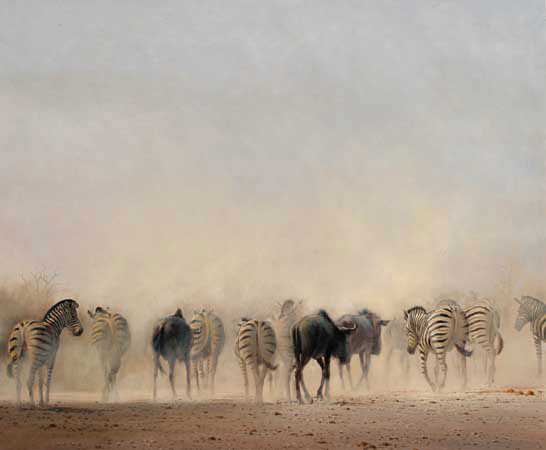 Jahrriesnge Animals of zebra-lpf02534 