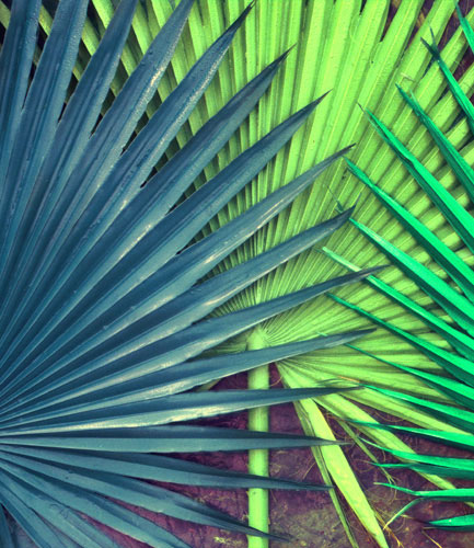 JAHRRIESNGE Floral of pu kui lpf04590 