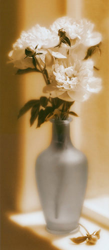 JAHRRIESNGE Floral of flower lpf04687 