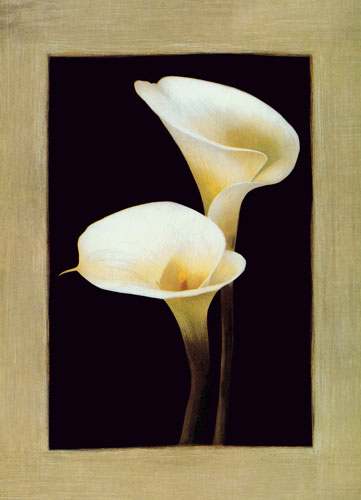 JAHRRIESNGE Floral of flower lpf04718 