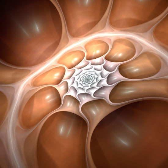 Jahrriesnge Abstract of colorful-lpf06278 