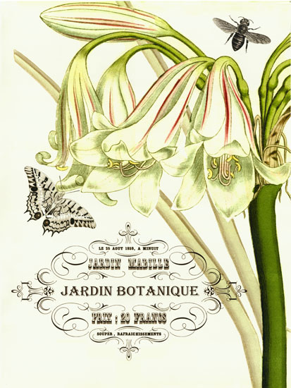 JAHRRIESNGE Floral of flowers-lpf06635 