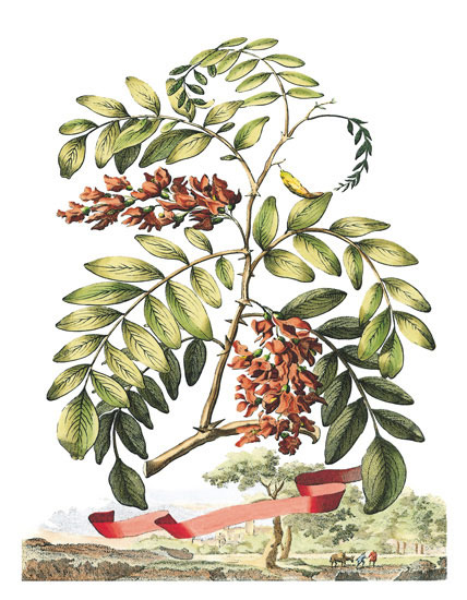 JAHRRIESNGE Floral of flowers-lpf06791 