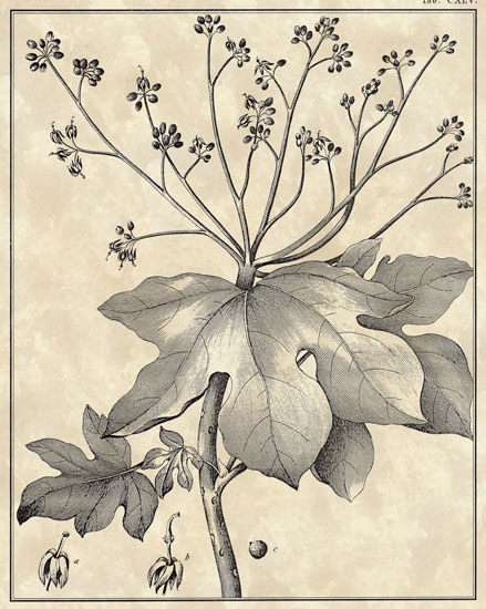 JAHRRIESNGE Floral of flowers-lpf06799 