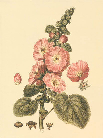 JAHRRIESNGE Floral of flowers-lpf06851 