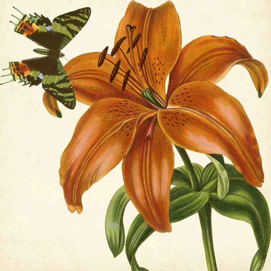 JAHRRIESNGE Floral of flowers-lpf07415 