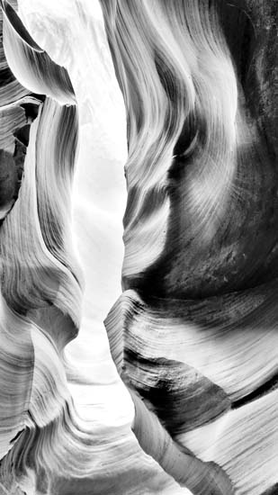 JAHRRIESNGE Landscape of untitle lpf09388 