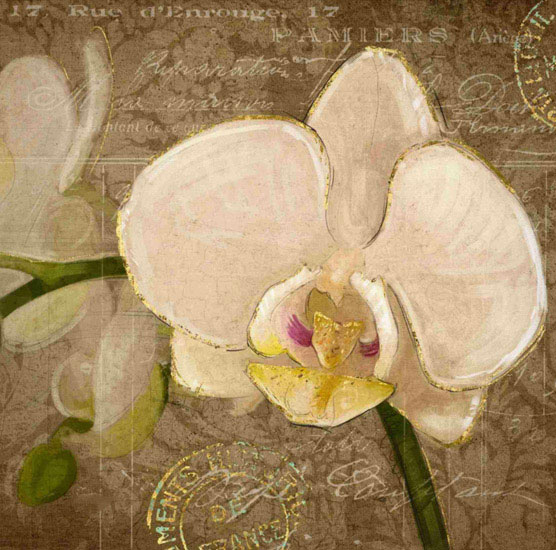 JAHRRIESNGE Floral of flowers lpf09595 