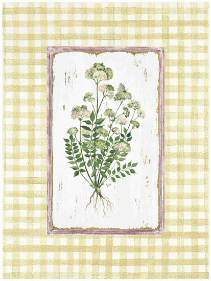 JAHRRIESNGE Floral of flowers lpf09675 